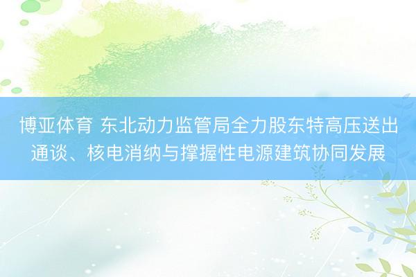 博亚体育 东北动力监管局全力股东特高压送出通谈、核电消纳与撑握性电源建筑协同发展