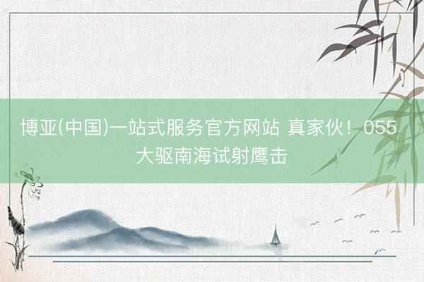 博亚(中国)一站式服务官方网站 真家伙！055 大驱南海试射鹰击