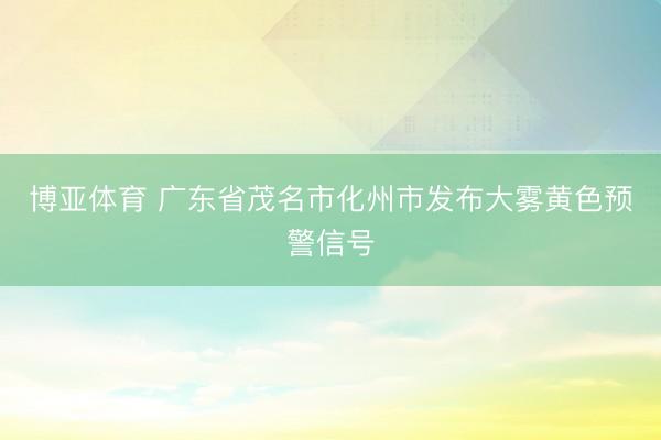 博亚体育 广东省茂名市化州市发布大雾黄色预警信号