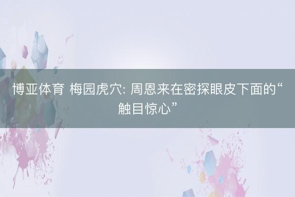 博亚体育 梅园虎穴: 周恩来在密探眼皮下面的“触目惊心”