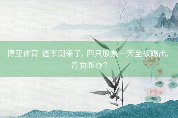 博亚体育 退市潮来了， 四只股票一天全被踢出， 背面咋办?