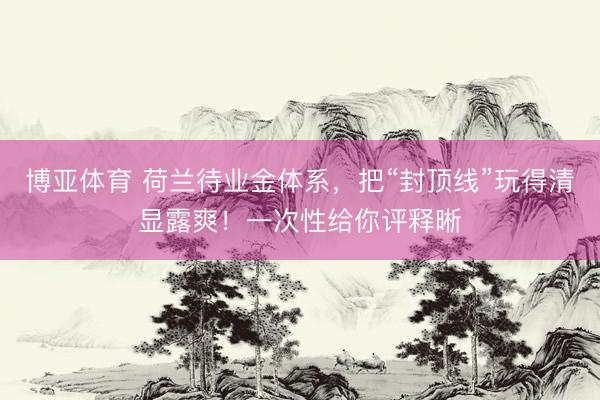 博亚体育 荷兰待业金体系，把“封顶线”玩得清显露爽！一次性给你评释晰