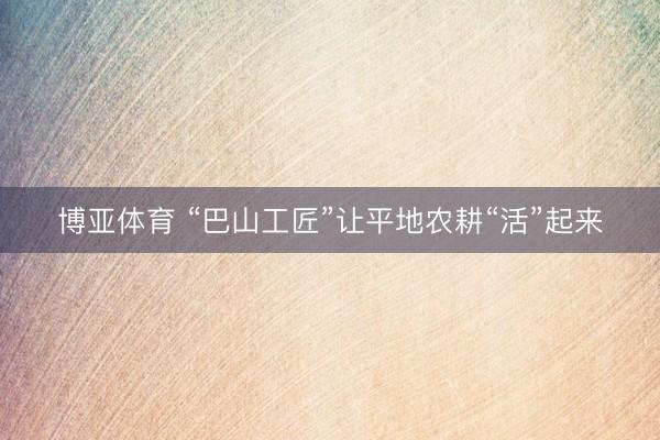 博亚体育 “巴山工匠”让平地农耕“活”起来