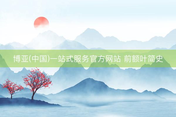 博亚(中国)一站式服务官方网站 前额叶简史