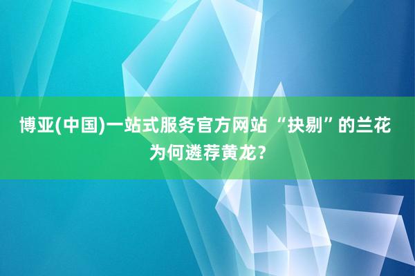 博亚(中国)一站式服务官方网站 “抉剔”的兰花 为何遴荐黄龙?